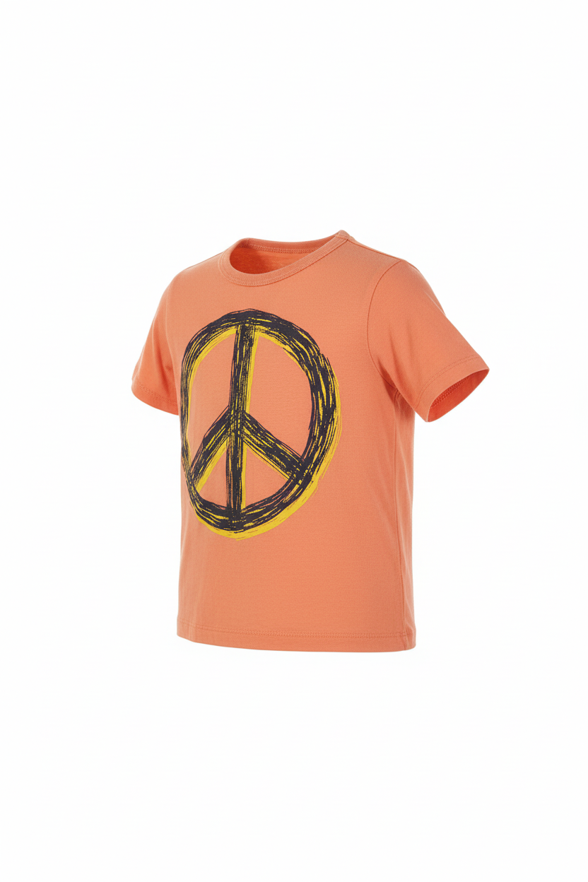 Short Sleeved T Shirt 3 T $5