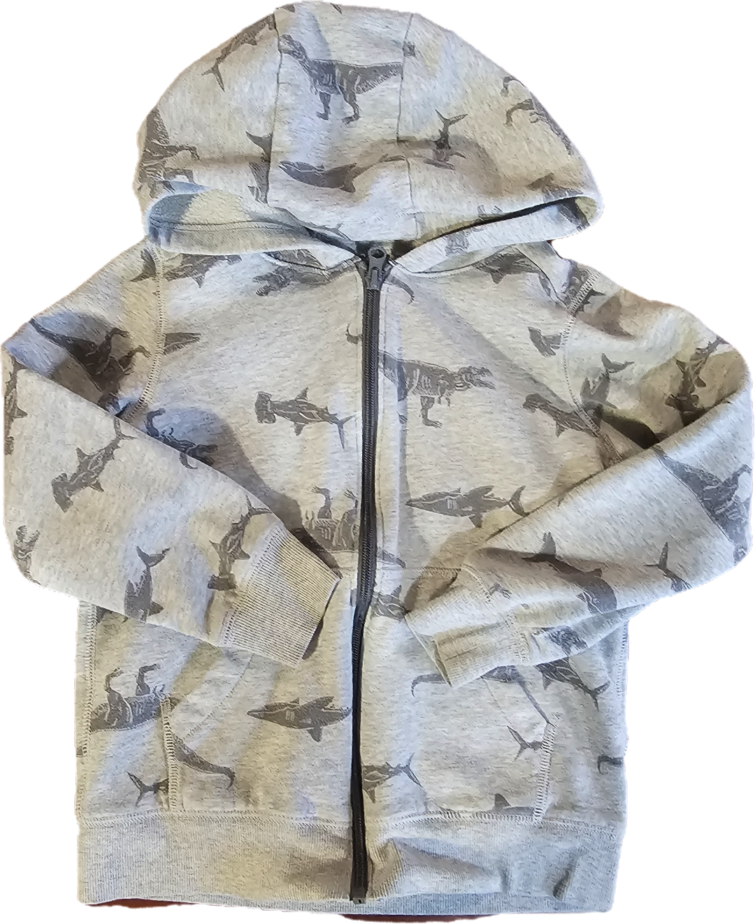Carter's Hoodie 8 $10