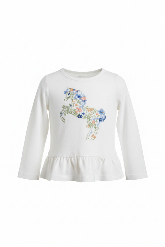 Long Sleeved Shirt 2T $4