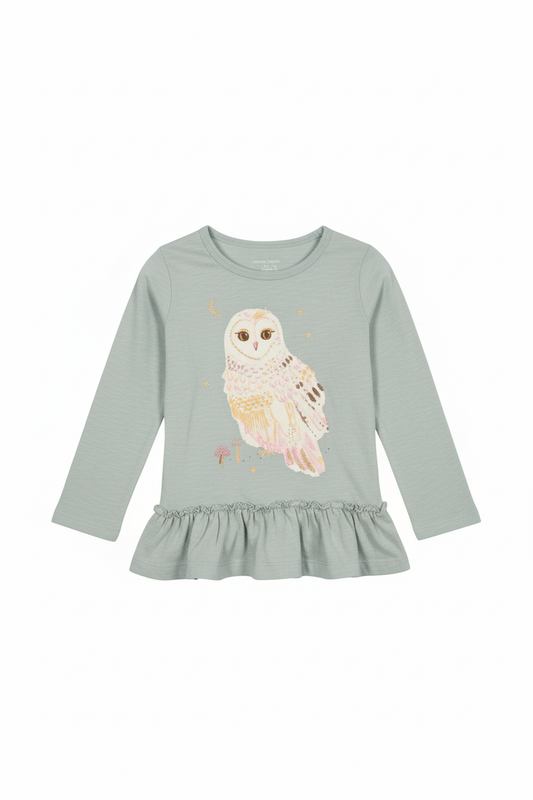 Long Sleeved Shirt 2T $6