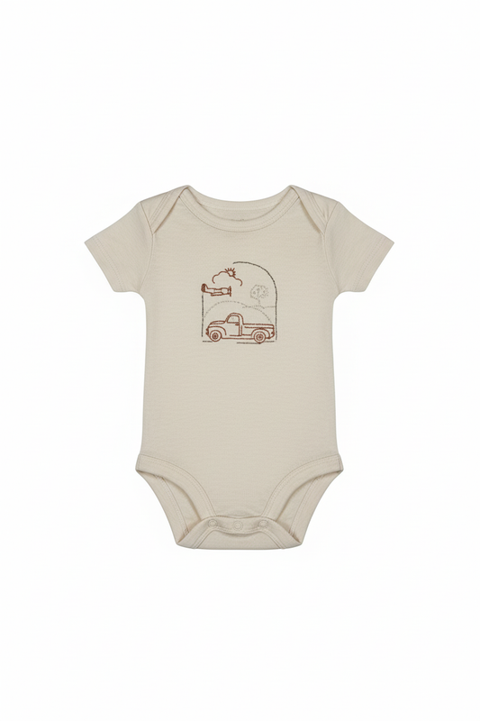 Onesie 0-3 m $5