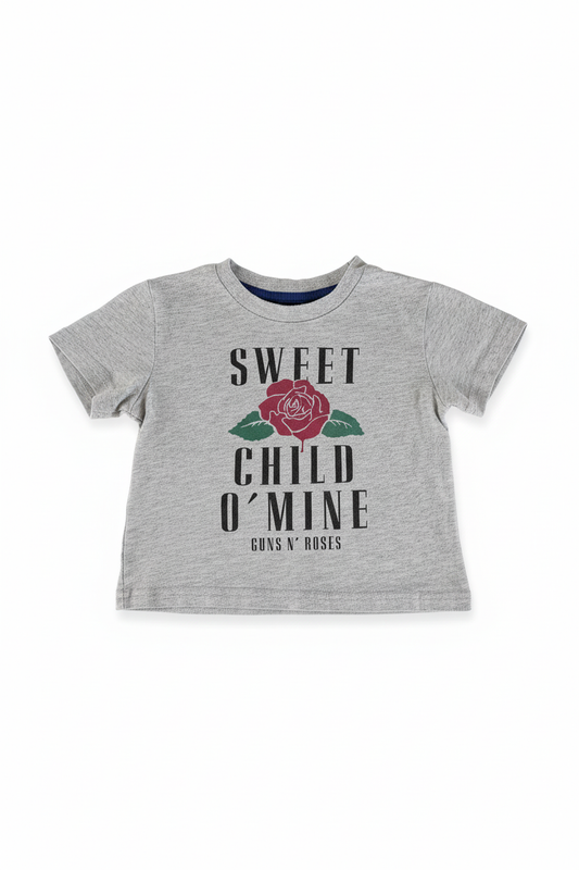 Short sleeved T Shirt 2T $4