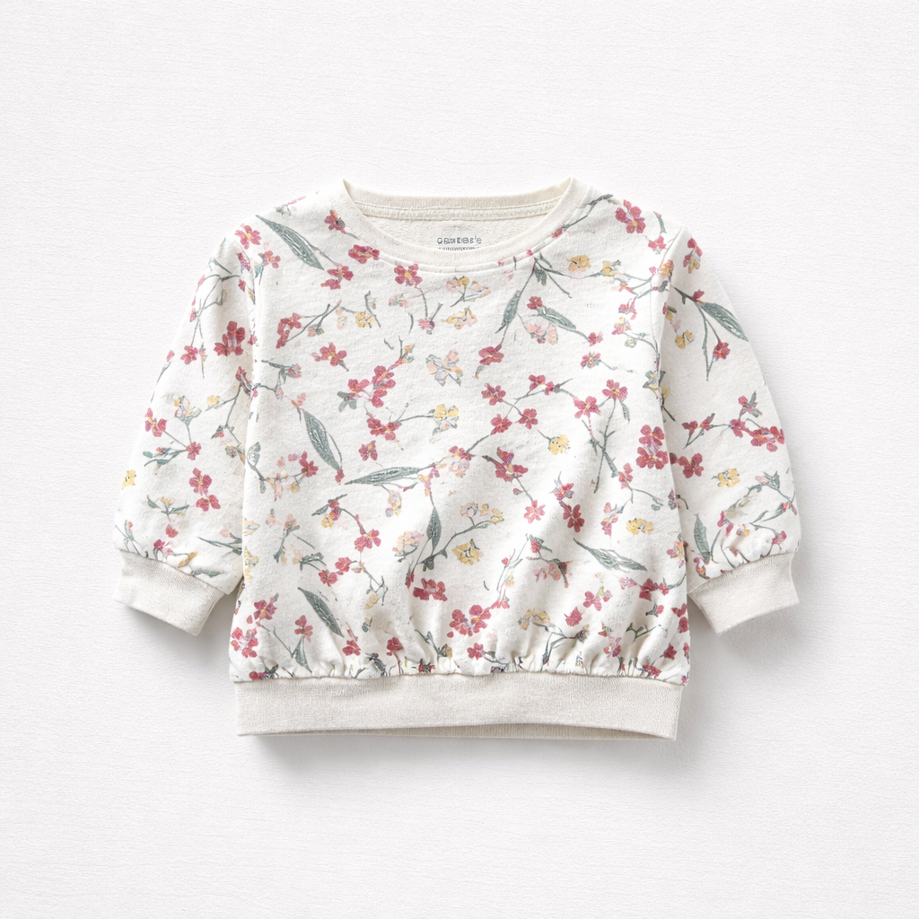 Sweatshirt 18m $5