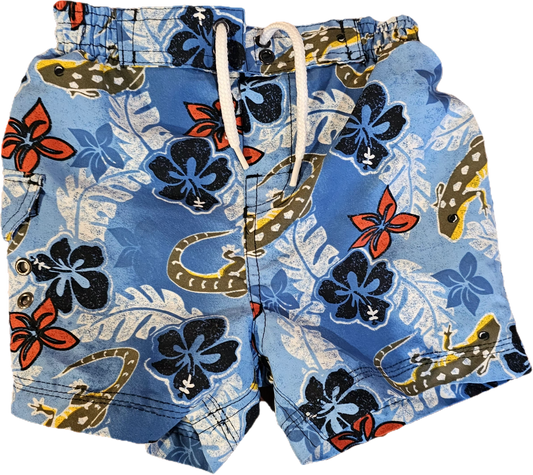 The Children's Place ? Swim Shorts 6mth $7.00