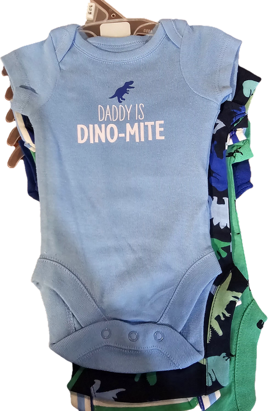 NEW Bundles Baby Place 5 Piece Onesies NB $20