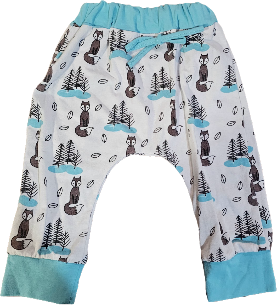 Unknown Pants 6m $4
