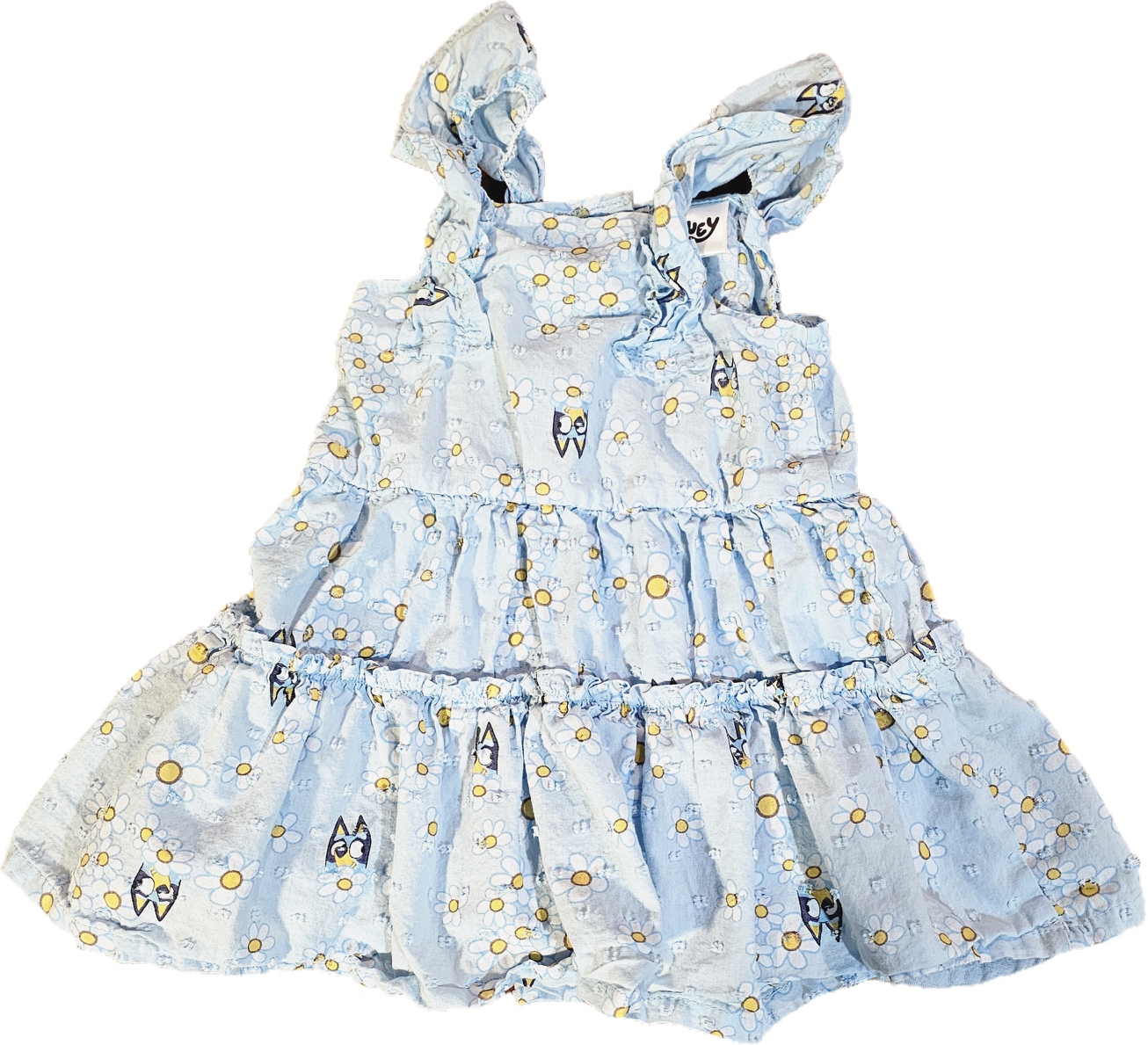 Bluey Dress