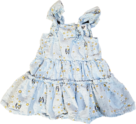 Bluey Dress