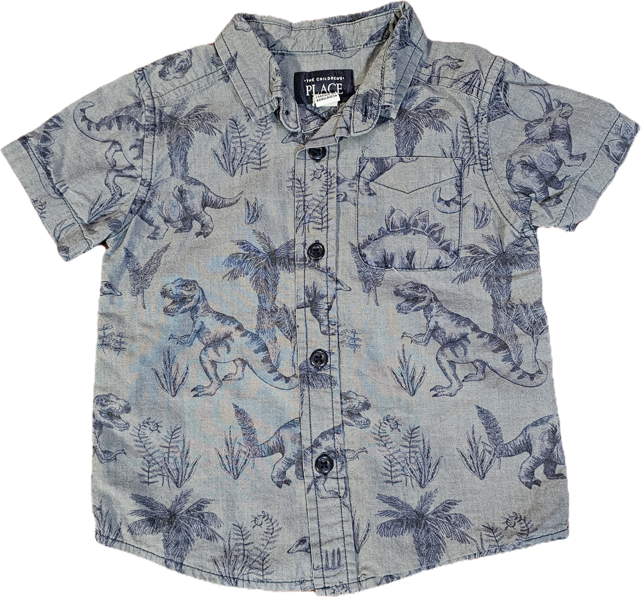 The Children's Place Shirt