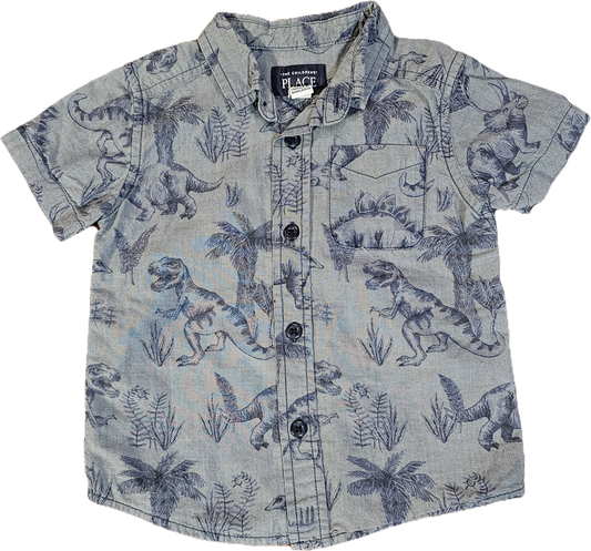 The Children's Place Shirt