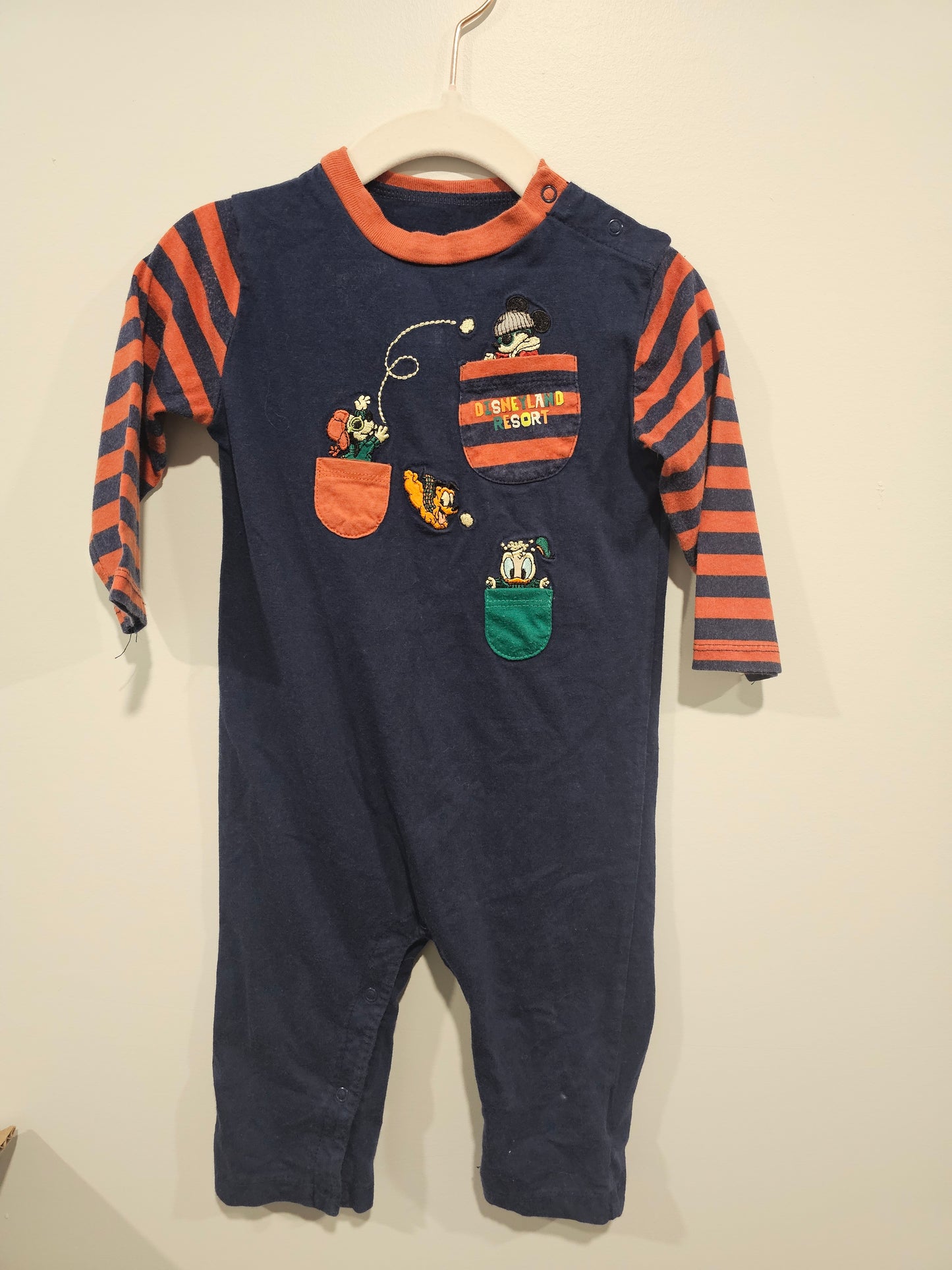 Disney Parks One Piece