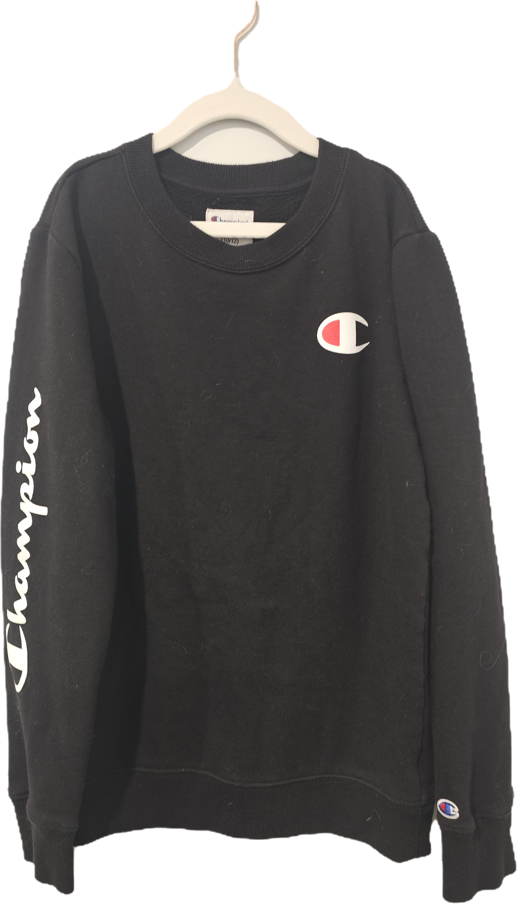 Champion Sweatshirt 10