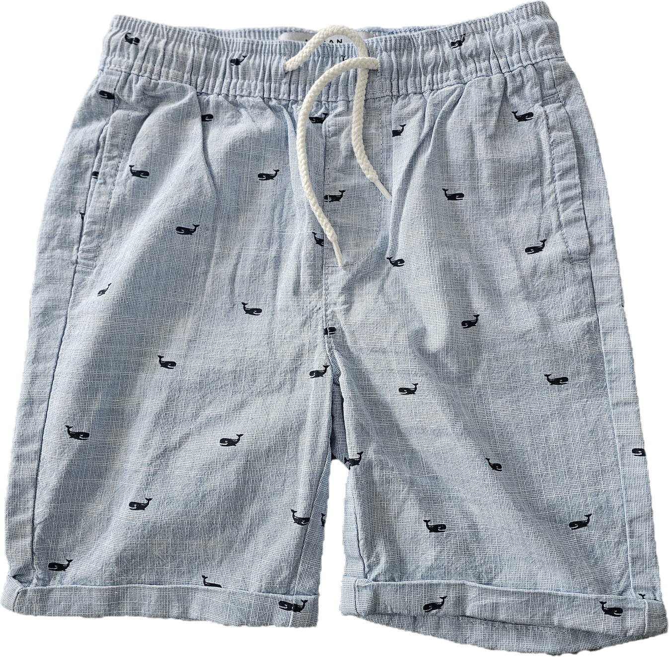 Urban Heritage Youth Shorts Whales 6