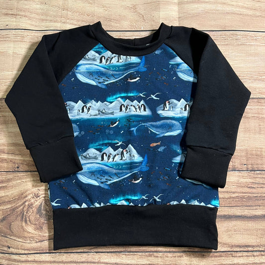 Penguin Whale Island Black Grow With Me Sweater: 1-3 Years